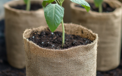 The Ultimate Guide to Choosing the Right Soil for Your Plants