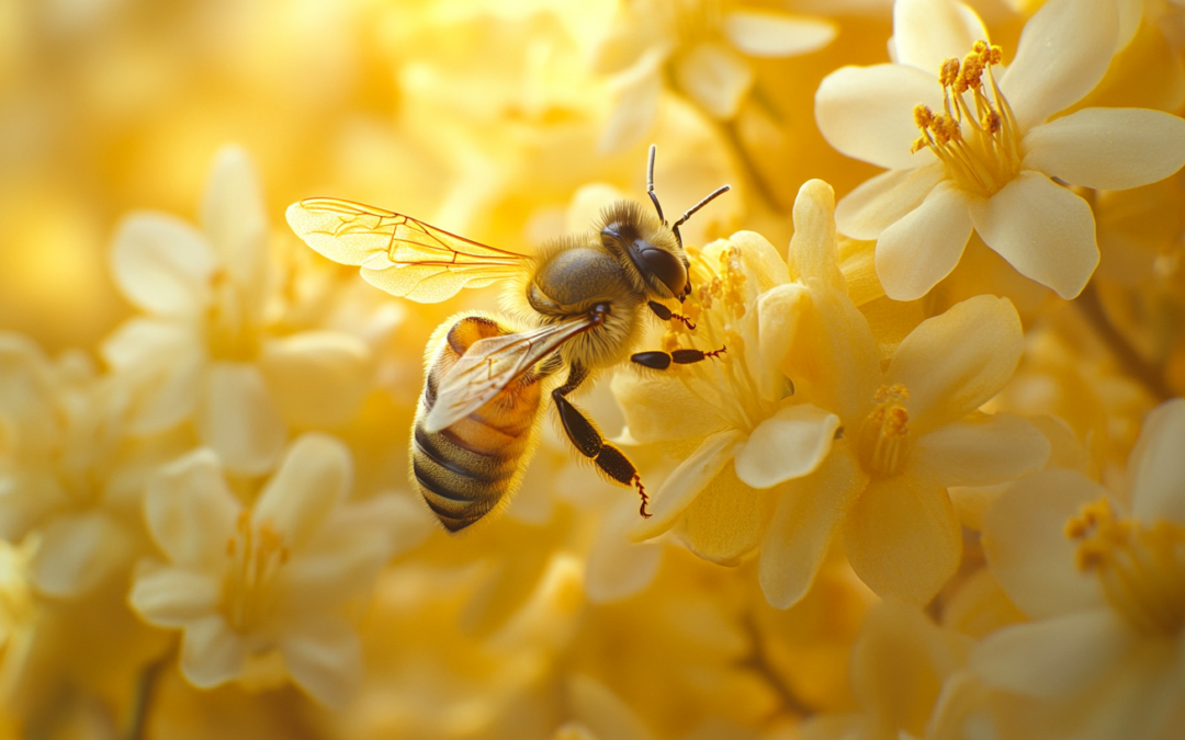 How to Create a Pollinator-Friendly Garden