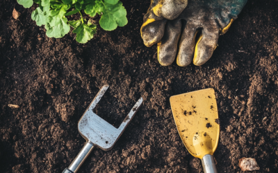 Sustainable Garden Tools You Should Invest In