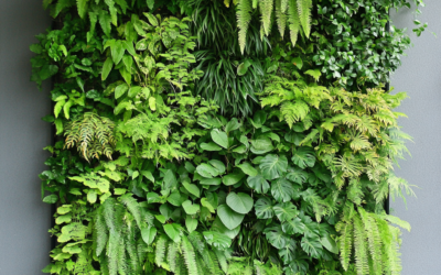 Maximize Vertical Space in Your Garden: Grow More in Less Space!